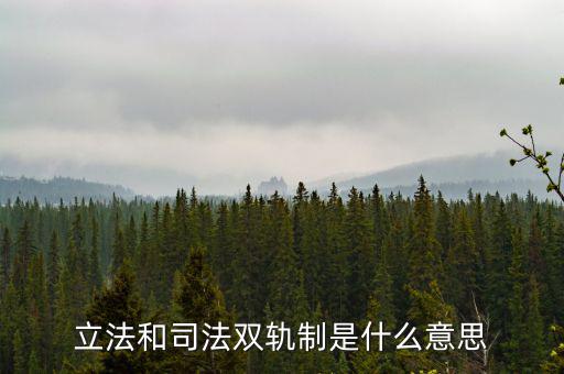 雙軌運行什么意思，雙軌運行解數(shù)字
