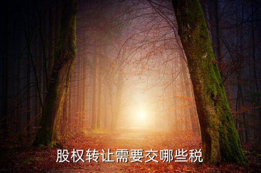 股權轉讓需要繳納什么稅，股權轉讓要交什么稅