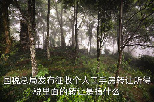 稅收轉讓是什么，國稅總局發(fā)布征收個人二手房轉讓所得稅里面的轉讓是指什么