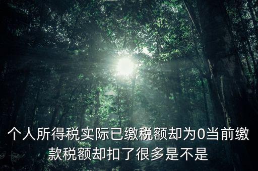 實繳稅額為什么是0，當(dāng)期的實交增值稅額為0是否進行城建稅的申報什么意思可以不用申報