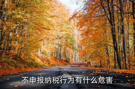 0申報(bào)稅沒有報(bào)會(huì)有什么影響，不申報(bào)納稅行為有什么危害