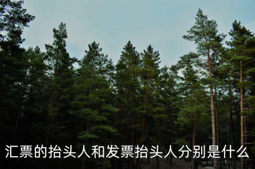 發(fā)票司稱人什么意思，匯票的抬頭人和發(fā)票抬頭人分別是什么