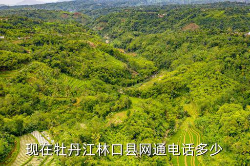 林口縣稅務(wù)局電話號(hào)碼是什么，現(xiàn)在牡丹江林口縣網(wǎng)通電話多少