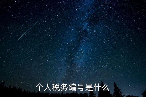 個(gè)人的稅收編號(hào)是什么，個(gè)人所得稅里面的注冊(cè)編碼是什么