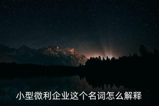 微利成公司是什么意思，小型微利企業(yè)這個(gè)名詞怎么解釋
