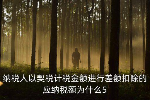 為什么 契稅 差額計(jì)稅，最新房產(chǎn)稅費(fèi)