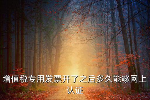 增值稅專(zhuān)用發(fā)票開(kāi)了之后多久能夠網(wǎng)上認(rèn)證