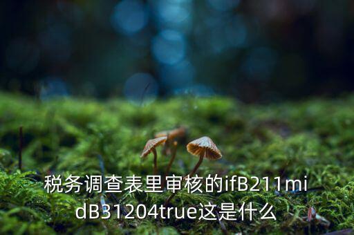 國稅調(diào)查表有什么意義，國稅要求地址普查的目的是什么