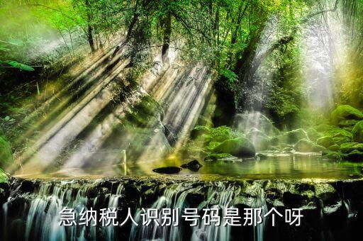 納稅人識別卡是什么，一般納稅人的IC卡的型號中JK100和JK300有什么區(qū)別