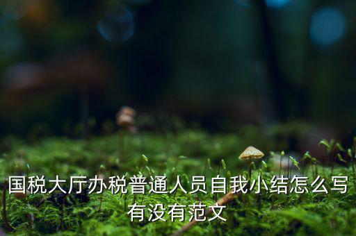 國(guó)稅大廳辦稅普通人員自我小結(jié)怎么寫(xiě)有沒(méi)有范文