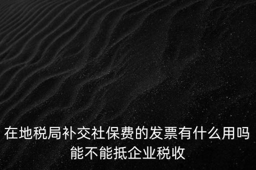 什么稅票能抵消社保費(fèi)用，輪渡費(fèi)后面有一張保險(xiǎn)發(fā)票是可以抵扣的