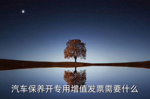 保險開專票需要什么，開增值票項目只開總一項行嗎保險公司要求開專票說要么按實際