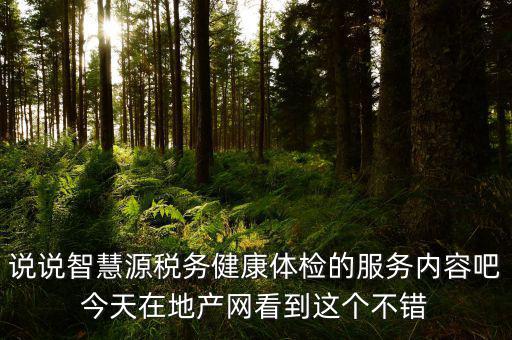 說說智慧源稅務健康體檢的服務內容吧今天在地產網看到這個不錯