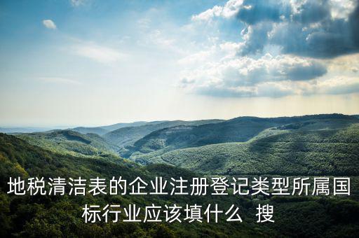 地稅清潔表的企業(yè)注冊(cè)登記類型所屬國標(biāo)行業(yè)應(yīng)該填什么  搜