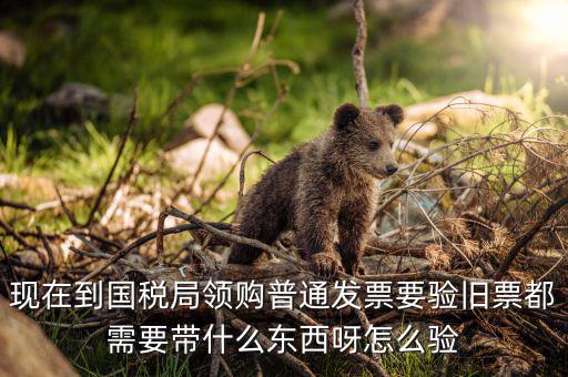 發(fā)票驗(yàn)舊都需要帶什么，現(xiàn)在到國稅局領(lǐng)購普通發(fā)票要驗(yàn)舊票都需要帶什么東西呀怎么驗(yàn)