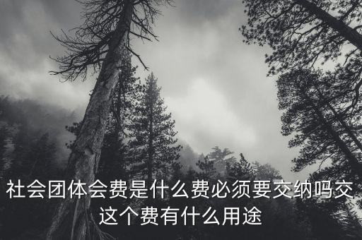 社會(huì)團(tuán)體費(fèi)是什么，誰(shuí)知道工商個(gè)體協(xié)會(huì)社會(huì)團(tuán)體會(huì)員費(fèi)是什么