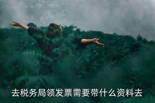 領(lǐng)電子發(fā)票需要帶什么資料，去稅務(wù)局領(lǐng)發(fā)票需要帶什么資料去