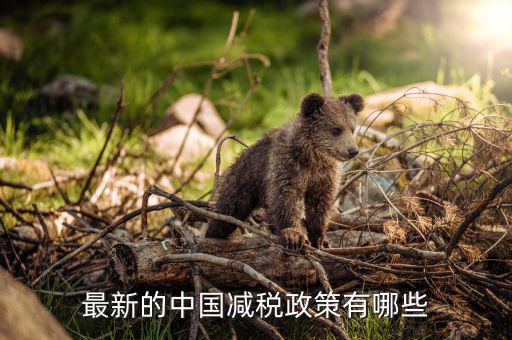 各國減稅結果會是什么，最新的中國減稅政策有哪些