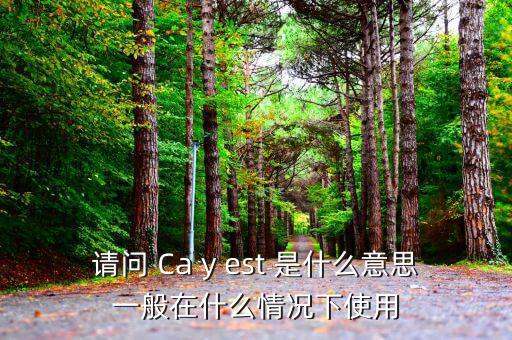 ca棒有什么作用是什么意思，CA的全稱是什么它的具體作用是什么
