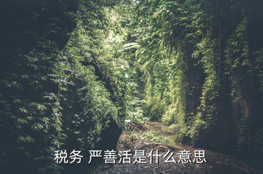 中國稅務(wù)精神是什么意思，稅務(wù)是什么意思啊學(xué)什么內(nèi)容