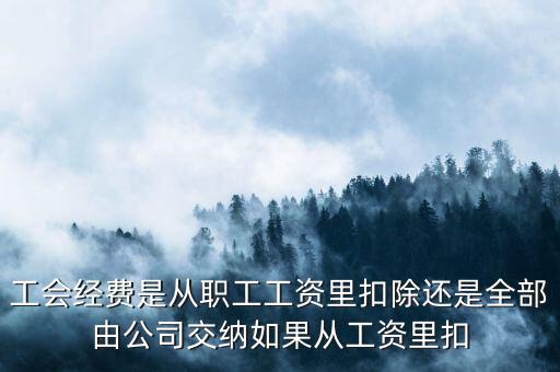 工會經(jīng)費(fèi)根據(jù)什么扣除，職工工會經(jīng)費(fèi)準(zhǔn)予扣除標(biāo)準(zhǔn)為多少