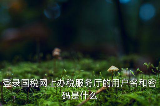 電子稅務密碼是什么，登錄國稅網(wǎng)上辦稅服務廳的用戶名和密碼是什么