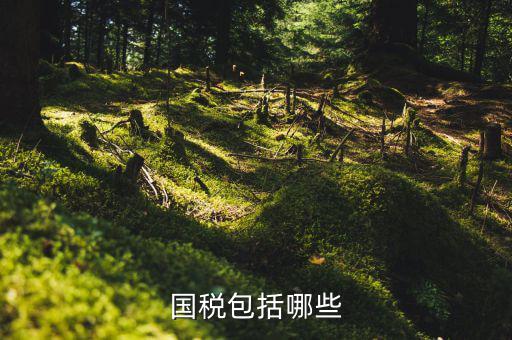 國(guó)家稅務(wù)局包括什么，國(guó)稅包括哪些