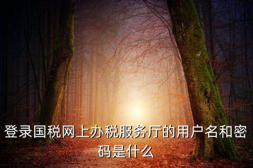 稅務(wù)登陸密碼是什么意思，國(guó)稅第一次網(wǎng)上申報(bào)的登陸密碼是什么