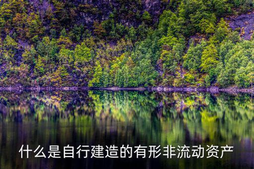 什么叫自建不動(dòng)產(chǎn)，自建不動(dòng)產(chǎn)不共擔(dān)風(fēng)險(xiǎn)的投資行為