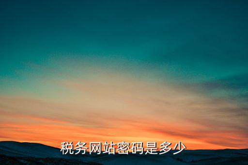 國稅網(wǎng)登錄密碼是什么，稅務(wù)局網(wǎng)站的登入賬戶初始密碼是什么
