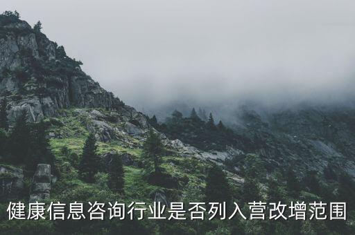 什么時候什么營改增的，營改增的會計范圍及會計處理