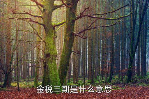 金稅三期是用什么登陸，金稅三期是什么意思