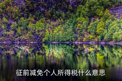 減免所得稅是什么意思，征前減免個人所得稅什么意思