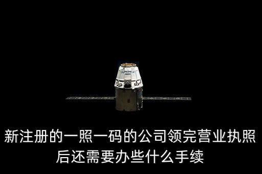 一照一碼后還需辦什么，網(wǎng)上申請一照一碼必須要經(jīng)辦人的U盾嗎