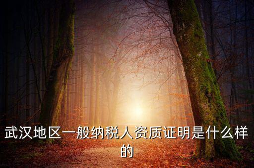 納稅資質(zhì)證明是什么意思，什么是稅務(wù)證明