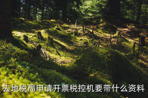 去地稅局申請(qǐng)開(kāi)票稅控機(jī)要帶什么資料