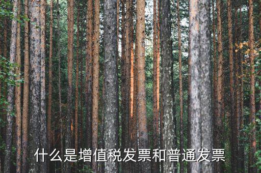 增值稅普通發(fā)票卷票是什么，卷票和普通增值稅發(fā)票有什么區(qū)別嗎