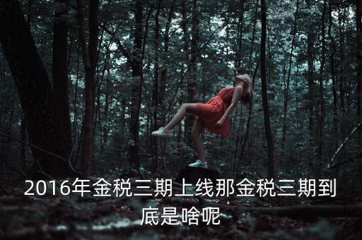 金稅三期包括什么，金稅三期是什么意思