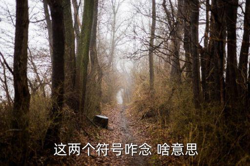 項稅讀音是什么意思，怎么讀是什么意思