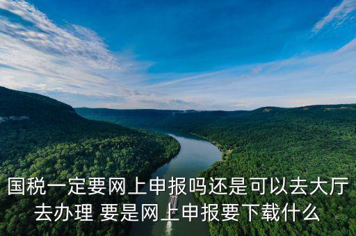 地稅進(jìn)國稅要下載什么，深圳國地稅想網(wǎng)上申報(bào)要下載什么東西嗎