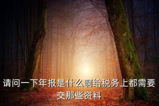 請問一下年報(bào)是什么啊給稅務(wù)上都需要交那些資料