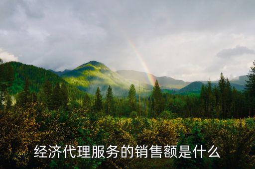 什么是經(jīng)濟(jì)代理，請問什么叫經(jīng)濟(jì)合同代理人
