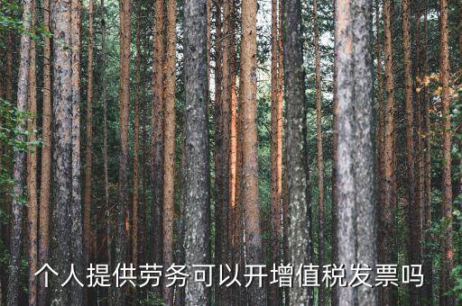 什么是個(gè)人勞務(wù)發(fā)票嗎，個(gè)人開工程勞務(wù)費(fèi)發(fā)票是在工程所在地開具嗎