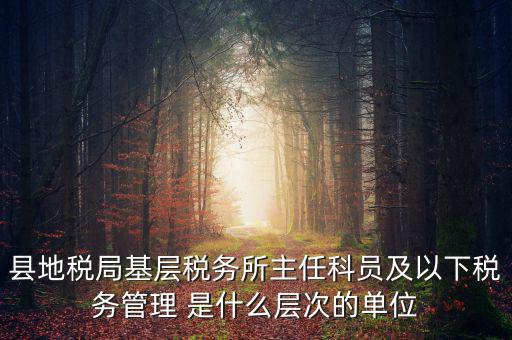 地稅局主任干什么，在地稅局工作寫材料具體是怎么工作