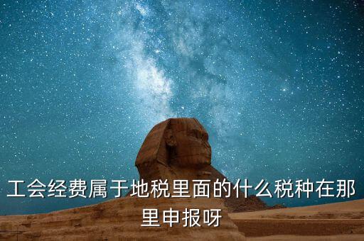 工會活動費中稅是什么，工會經費屬于地稅里面的什么稅種在那里申報呀