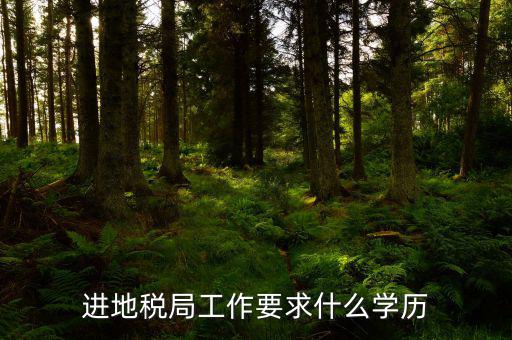 地稅上班要會(huì)什么最低學(xué)歷，要去地稅局上班都要學(xué)些什么啊