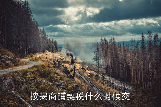 商鋪租賃稅什么時候交，租賃店鋪一般首次需要繳納幾個月的租金