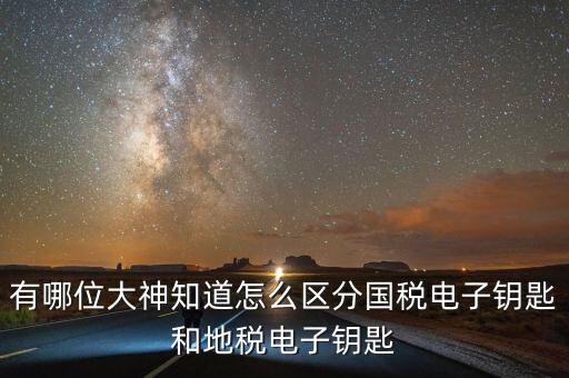 國稅電子鑰匙是什么，稅務(wù)密鑰是什么東西是數(shù)字證書嗎