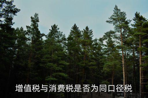 稅收可比口徑什么意思，稅收比重什么意思