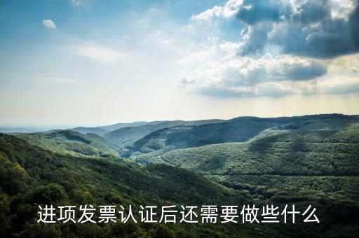 核定發(fā)票后發(fā)行后還坐什么，認(rèn)證完發(fā)票在干什么